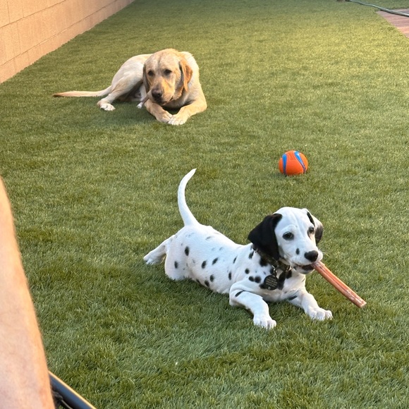 CLOSET CLEAROUT W/ PRIZES - Picture 8 of 11